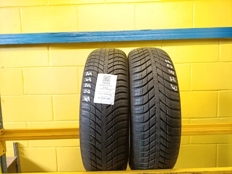 Pneumatico NEXEN N BLUE 4 SEASON 195/60 R14 75H