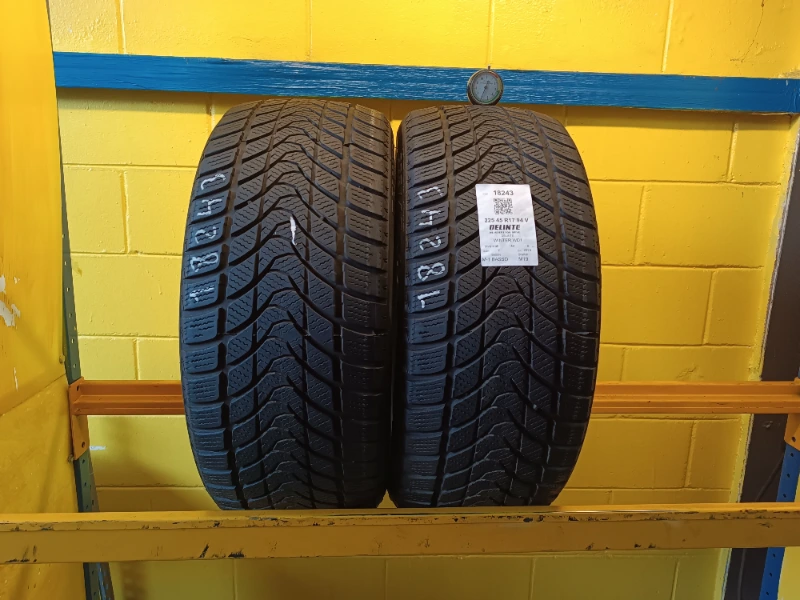Pneumatico DELINTE WINTER WD1 225/45 R17 94V