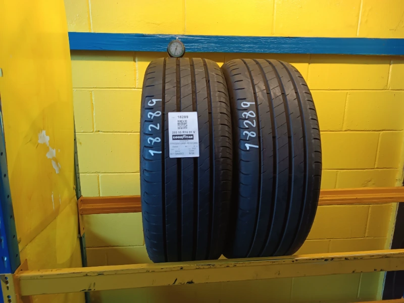 Pneumatico GOODYEAR EFFICENTGRIP PERFORMANCE 2 205/55 R16 91V